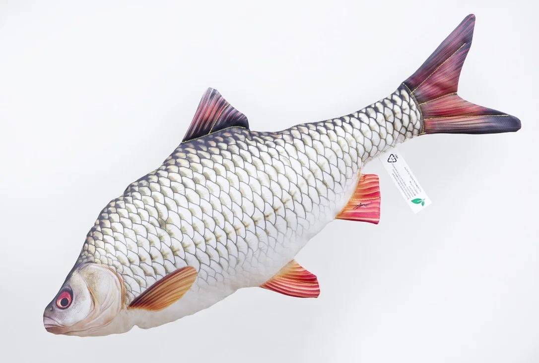 2026_07_10_2423563