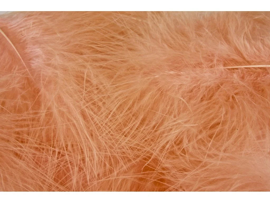 2026_07_10_2432306
