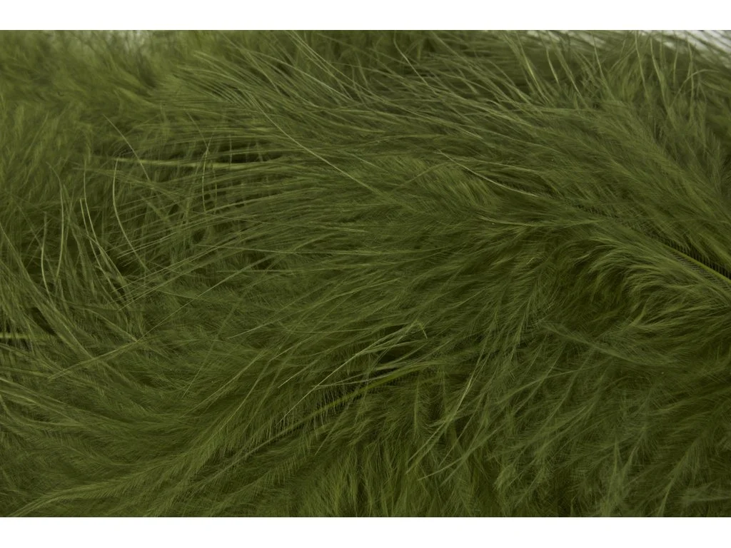 2026_07_10_2432482
